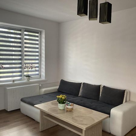 Apartament W Centrum Malborka Zewnętrze zdjęcie
