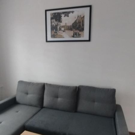 Apartament Apartament W Centrum Malborka Zewnętrze zdjęcie