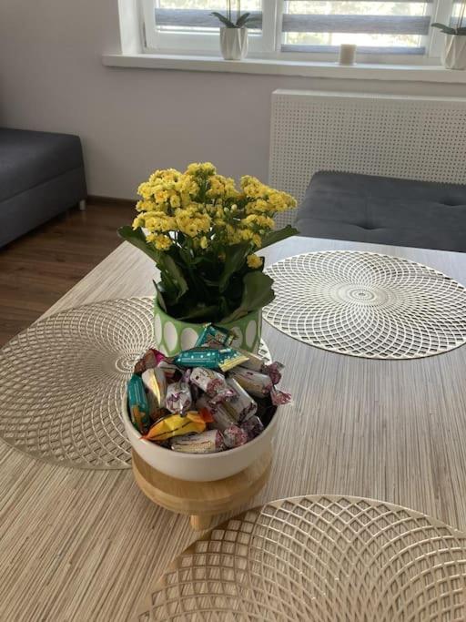 Apartament W Centrum Malborka Zewnętrze zdjęcie
